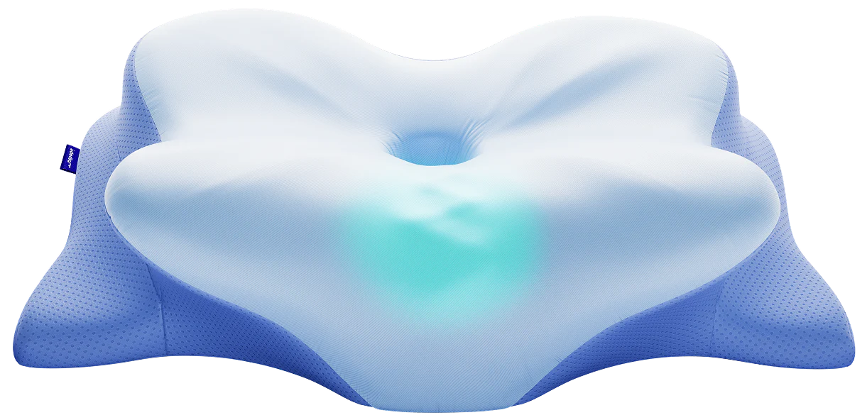 Bonus 2 — Peak Sleep Performance System